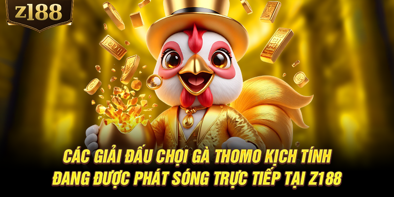Các giải đấu chọi gà Thomo kịch tính đang được phát sóng trực tiếp tại Z188
