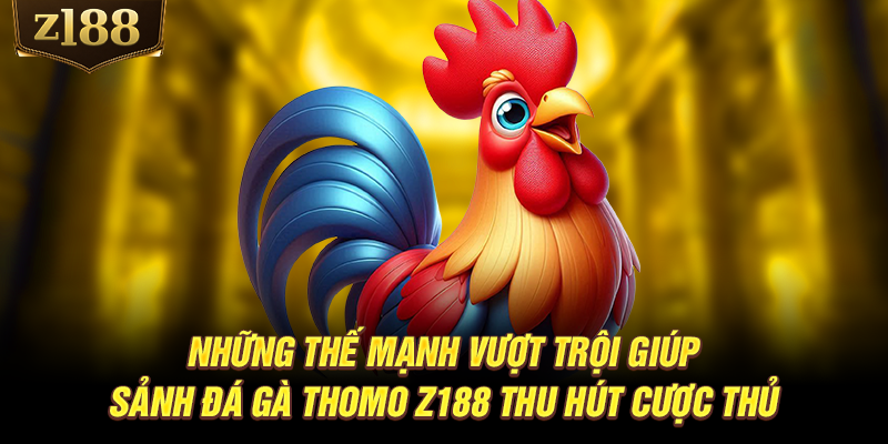 Những thế mạnh vượt trội giúp sảnh đá gà Thomo Z188 thu hút cược thủ